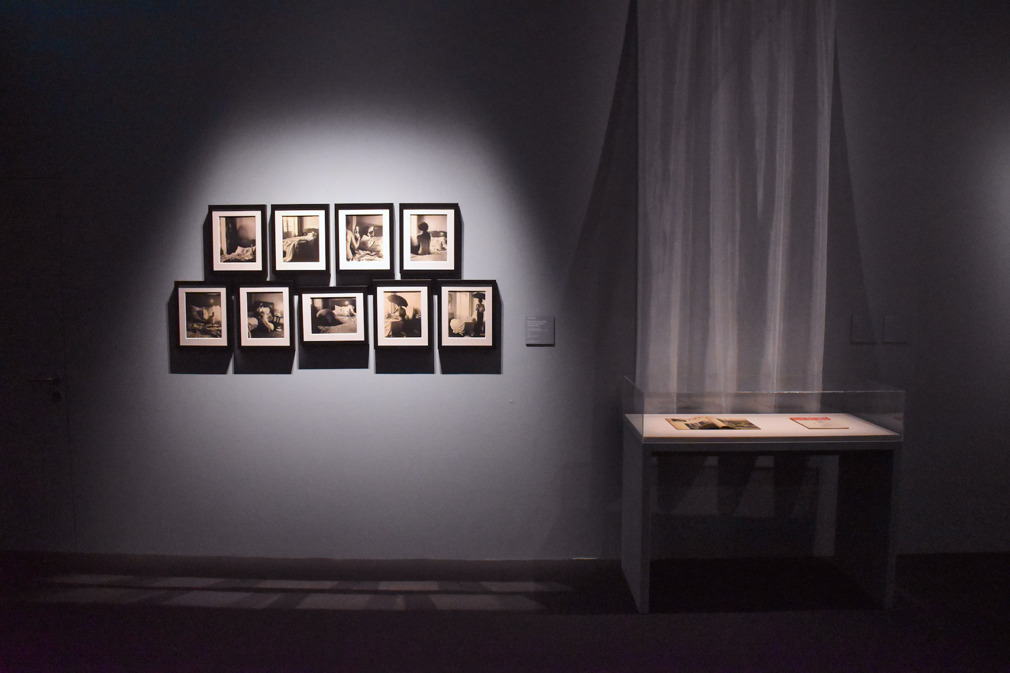 Percorso espositivo della mostra di Leonora Carrington, tra immagini e narrazione visiva