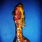 Gian Genta Futura