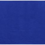 Blu Klein