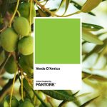 Verde D'amico