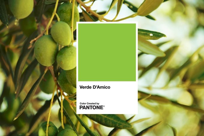 Verde D'amico
