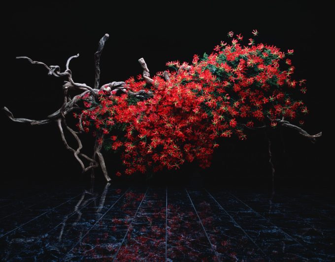 Ikebana: l’architettura dell’effimero tra natura e forma